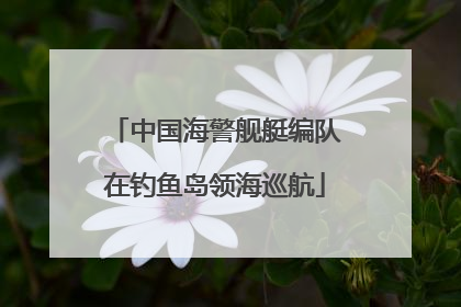 中国海警舰艇编队在钓鱼岛领海巡航