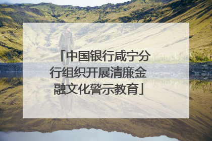 中国银行咸宁分行组织开展清廉金融文化警示教育