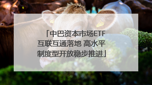 中巴资本市场ETF互联互通落地 高水平制度型开放稳步推进