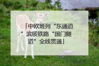 中欧班列“东通道”滨绥铁路“国门隧道”全线贯通