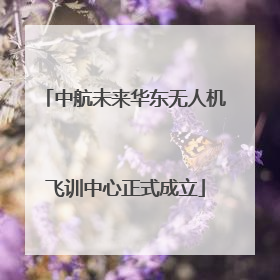 中航未来华东无人机飞训中心正式成立