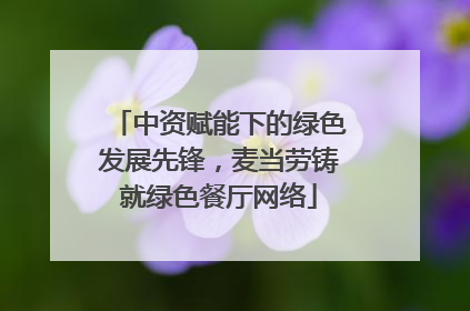 中资赋能下的绿色发展先锋，麦当劳铸就绿色餐厅网络