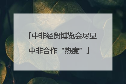 中非经贸博览会尽显中非合作“热度”