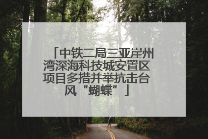 中铁二局三亚崖州湾深海科技城安置区项目多措并举抗击台风“蝴蝶”