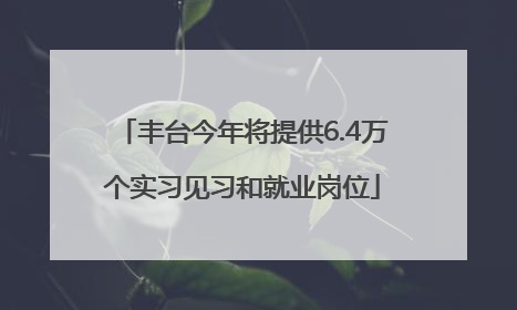 丰台今年将提供6.4万个实习见习和就业岗位