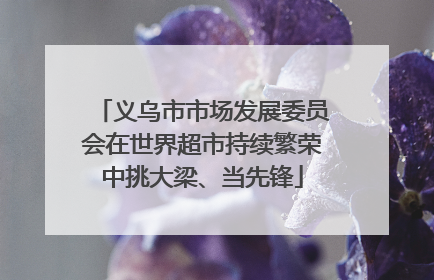 义乌市市场发展委员会在世界超市持续繁荣中挑大梁、当先锋