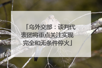 乌外交部：谈判代表团将重点关注实现完全和无条件停火