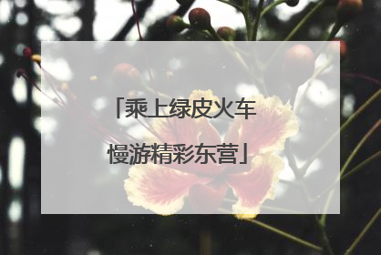 乘上绿皮火车 慢游精彩东营