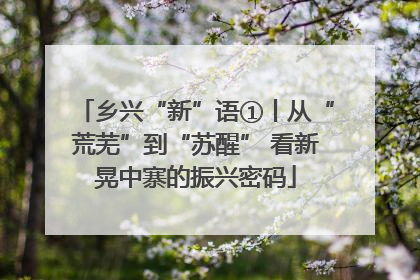乡兴“新”语①丨从“荒芜”到“苏醒” 看新晃中寨的振兴密码
