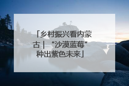 乡村振兴看内蒙古｜“沙漠蓝莓”种出紫色未来