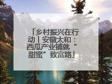 乡村振兴在行动丨安徽太和：西瓜产业铺就“甜蜜”致富路
