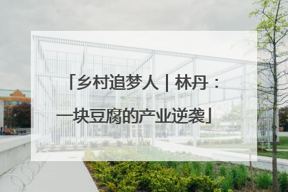 乡村追梦人｜林丹：一块豆腐的产业逆袭