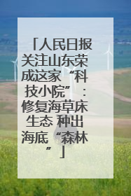 人民日报关注山东荣成这家“科技小院”：修复海草床生态 种出海底“森林”