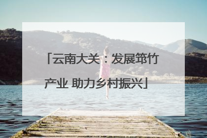 云南大关：发展筇竹产业 助力乡村振兴