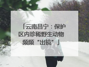云南昌宁：保护区内珍稀野生动物频频“出镜”