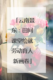 云南景东：田间课堂绘就劳动育人新画卷