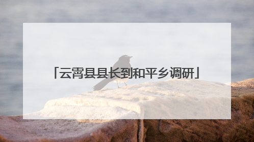 云霄县县长到和平乡调研