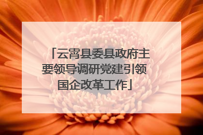 云霄县委县政府主要领导调研党建引领国企改革工作