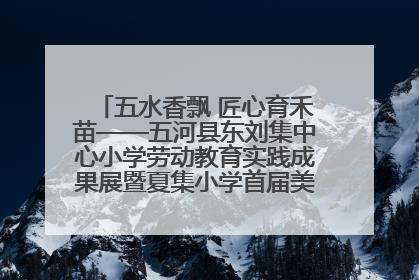 五水香飘 匠心育禾苗——五河县东刘集中心小学劳动教育实践成果展暨夏集小学首届美食节盛大举行