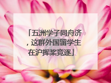 五洲学子同舟济，这群外国留学生在沪挥桨竞逐