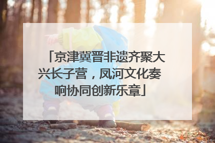 京津冀晋非遗齐聚大兴长子营，凤河文化奏响协同创新乐章