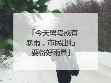 今天鹭岛或有暴雨，市民出行要备好雨具