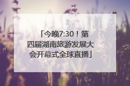 今晚7:30！第四届湖南旅游发展大会开幕式全球直播