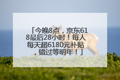 今晚8点，京东618最后28小时！每人每天超6180元补贴，错过等明年！