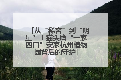 从“稀客”到“明星”！猫头鹰“一家四口”安家杭州植物园背后的守护