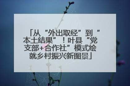 从“外出取经”到“本土结果”！叶县“党支部+合作社”模式绘就乡村振兴新图景
