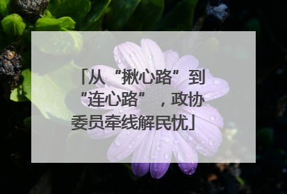 从“揪心路”到“连心路”，政协委员牵线解民忧