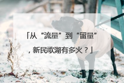 从“流量”到“留量”，新民歌湖有多火？