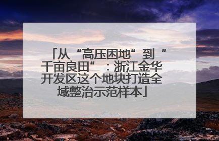 从“高压困地”到“千亩良田”：浙江金华开发区这个地块打造全域整治示范样本