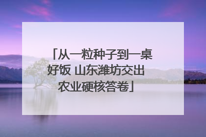 从一粒种子到一桌好饭 山东潍坊交出农业硬核答卷