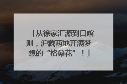 从徐家汇源到日喀则，沪藏两地开满梦想的“格桑花”！