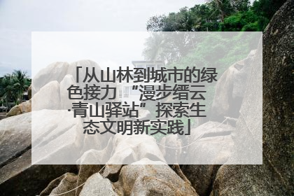 从山林到城市的绿色接力 “漫步缙云·青山驿站”探索生态文明新实践