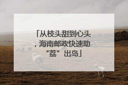 从枝头甜到心头，海南邮政快速助“荔”出岛