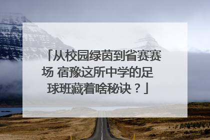 从校园绿茵到省赛赛场 宿豫这所中学的足球班藏着啥秘诀？