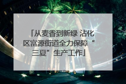 从麦香到新绿 沾化区富源街道全力保障“三夏”生产工作