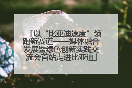 以“比亚迪速度”领跑新赛道——媒体融合发展暨绿色创新实践交流会首站走进比亚迪
