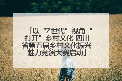 以“Z世代”视角“打开”乡村文化 四川省第五届乡村文化振兴魅力竞演大赛启动