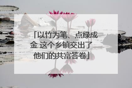 以竹为笔、点绿成金 这个乡镇交出了他们的共富答卷