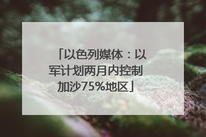 以色列媒体：以军计划两月内控制加沙75%地区