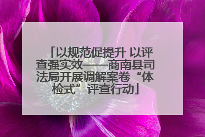 以规范促提升 以评查强实效——商南县司法局开展调解案卷“体检式”评查行动