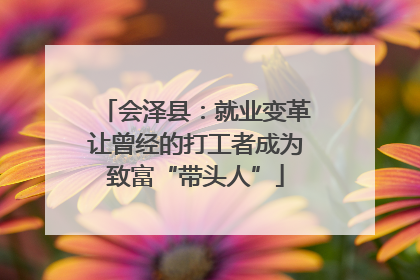 会泽县：就业变革让曾经的打工者成为致富“带头人”