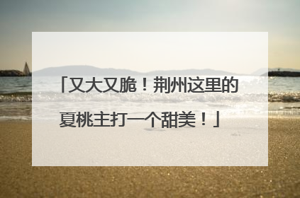 又大又脆！荆州这里的夏桃主打一个甜美！