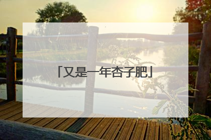 又是一年杏子肥