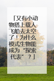 又有小动物搭上载人飞船去太空了！为什么模式生物能成为“探索代表”？
