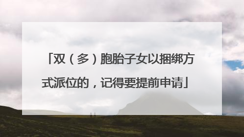 双（多）胞胎子女以捆绑方式派位的，记得要提前申请