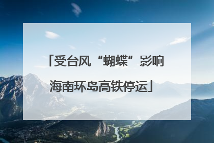 受台风“蝴蝶”影响 海南环岛高铁停运
